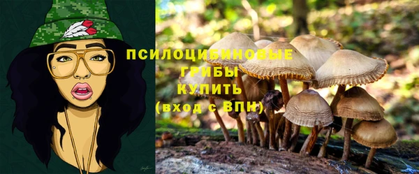 COCAINE Абаза