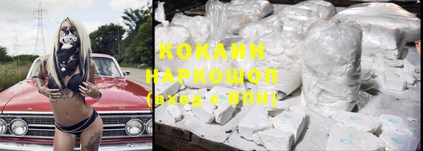 дживик Абинск